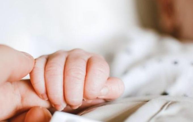 Bebê com 21 dias é atacado e morto por pitbull da própria família