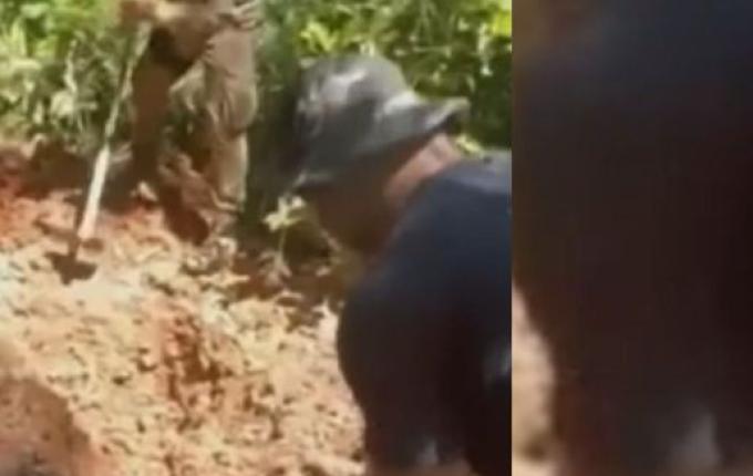 Três corpos são encontrados em cemitério clandestino na Grande Florianópolis