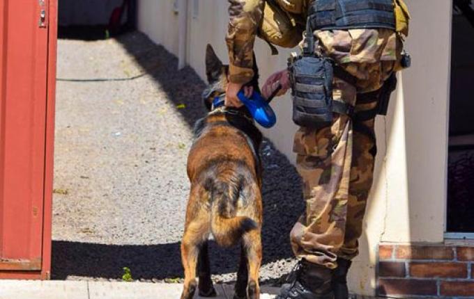 Após denúncia de violência doméstica, homem é detido com drogas e dinheiro