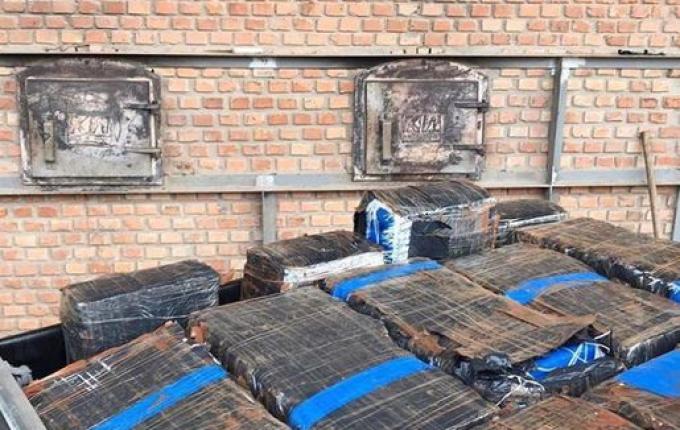 Polícia Civil incinera mais de meia tonelada de maconha