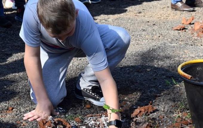 Descanso realiza ação de plantio de árvores alusiva ao dia mundial do meio ambiente