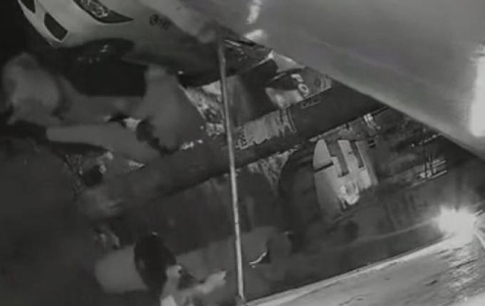 Policial tem a cabeça atingida por botijão de gás durante abordagem em São Paulo; Assista