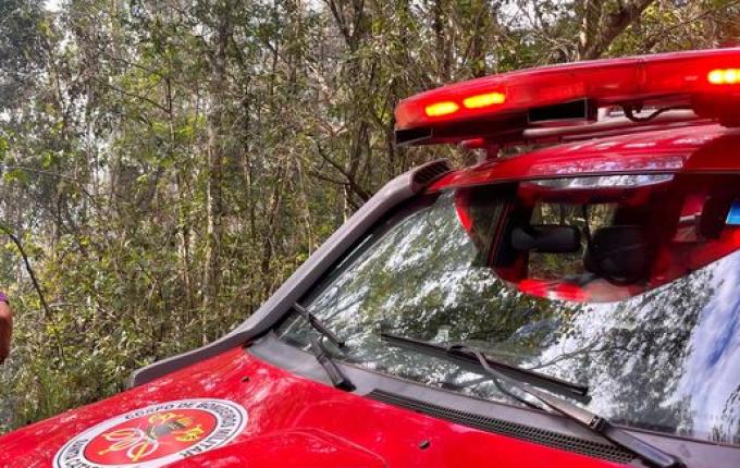 Incêndio atinge área de vegetação e eucaliptos no interior de Bandeirante