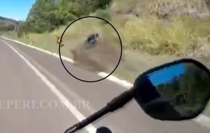 VÍDEO: Motociclista flagra acidente na BR-282 em Paraíso