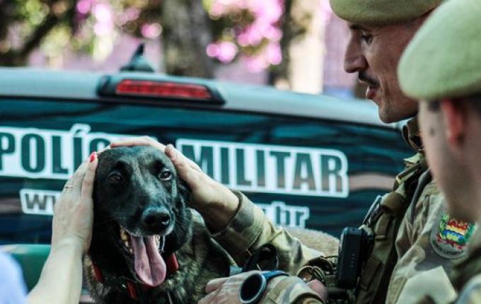 “Dia C de Cooperar” reúne grande público em São Miguel do Oeste