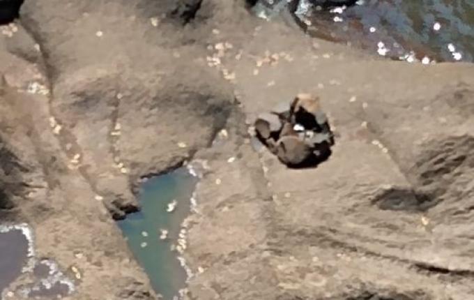 Polícia Civil apura casos de invasão à propriedades para consumo de drogas