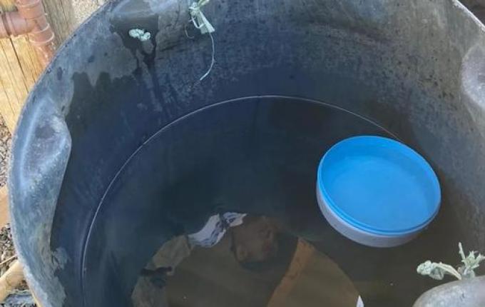 Empresa terá que indenizar trabalhadores por situação análoga à escravidão