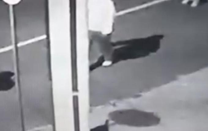 VÍDEO: Empresário denuncia tentativa de furto em São Miguel do Oeste