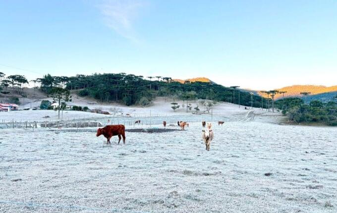 Bom Jardim da Serra registra -6,1°C e tem a menor temperatura do Brasil