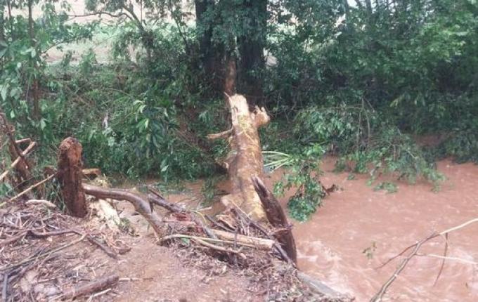Estradas rurais são prejudicadas em São José do Cedro, Princesa e Anchieta