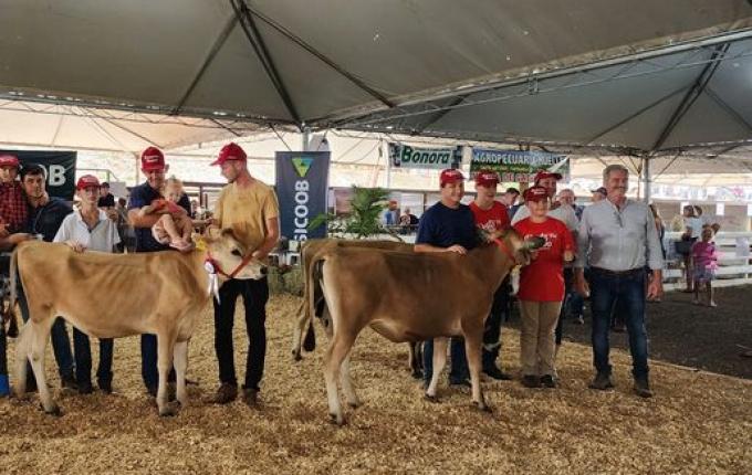 Avaliação de bezerras e novilhas é realizada na 11ª Efrait de Itapiranga