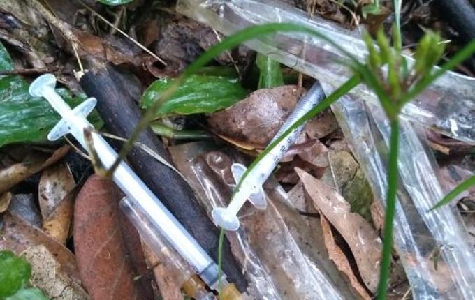 Campanha em Descanso incentiva descarte correto de medicamentos usados por diabéticos