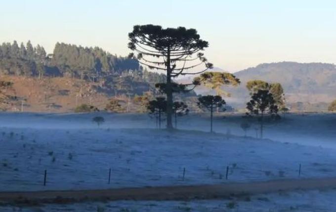 São Miguel do Oeste registra 2,15°C em nova onda de frio em Santa Catarina