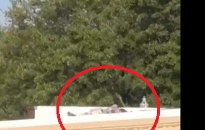 Autoridades tentam descobrir motivação de atirador tentar matar Donald Trump