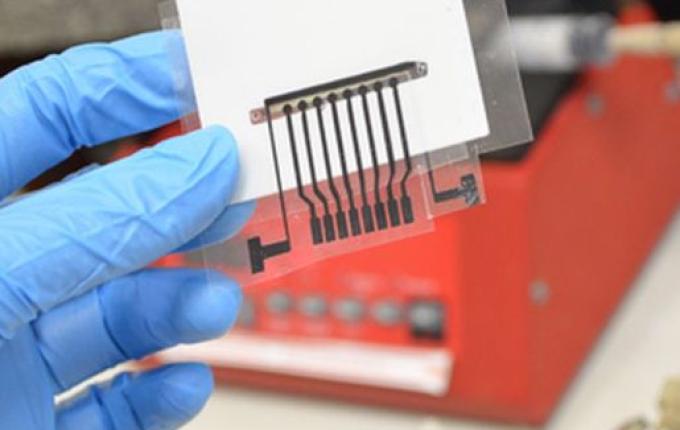 Vacina em testes pode revolucionar o combate ao Alzheimer