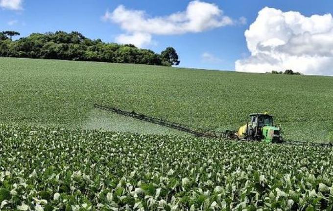 Soja surge como alternativa de renda aos produtores de leite