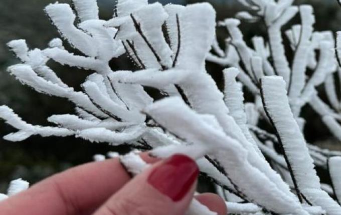 SC amanhece com dezenas de cidades abaixo de zero em meio a onda de frio