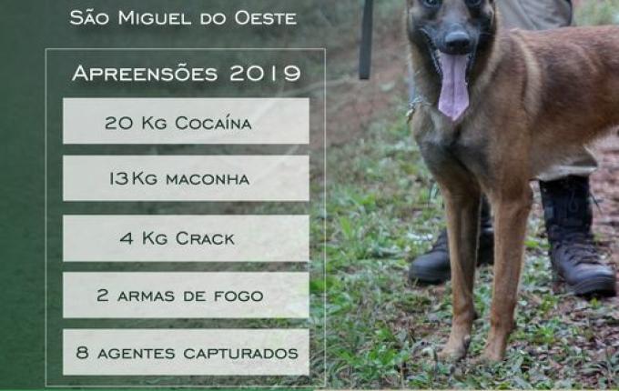 Policiamento com cães resulta na apreensão de quase 40 quilos de drogas em 2019