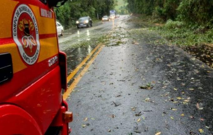 Árvores caídas interditam BR-282 em Maravilha e mobilizam bombeiros