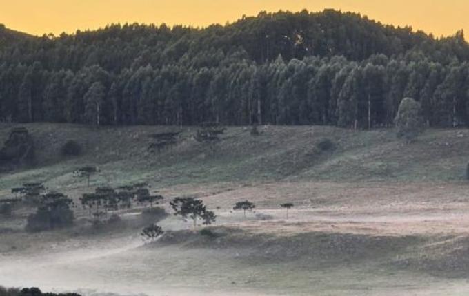 SC amanhece com campos cobertos por geada e temperaturas “congelantes”
