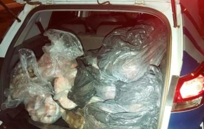 Bandidos arrombam feira e furtam 150 kg em salames e carnes em Chapecó