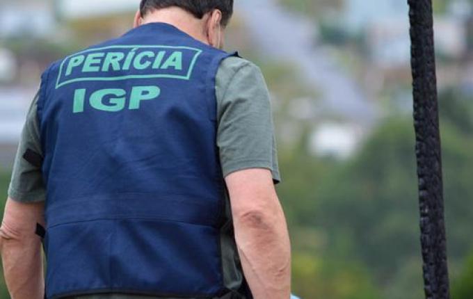 Moradora encontra feto no quintal de casa em cidade catarinense