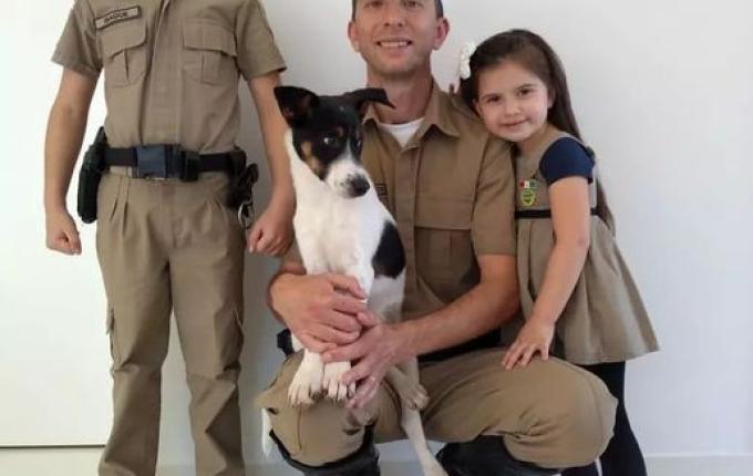 Cão abandonado invade viatura da PMRv e é adotado por policial