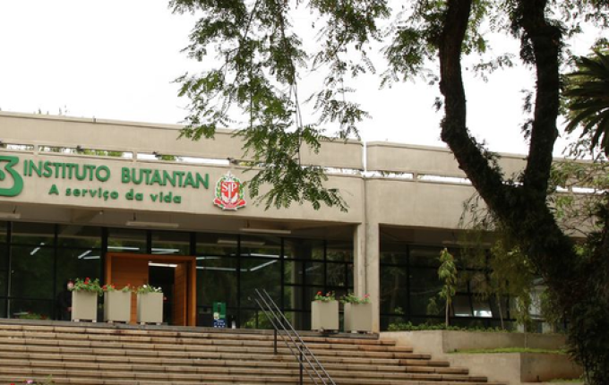 Vacina contra a dengue desenvolvida pelo Butantan chega a 79,6% de eficácia