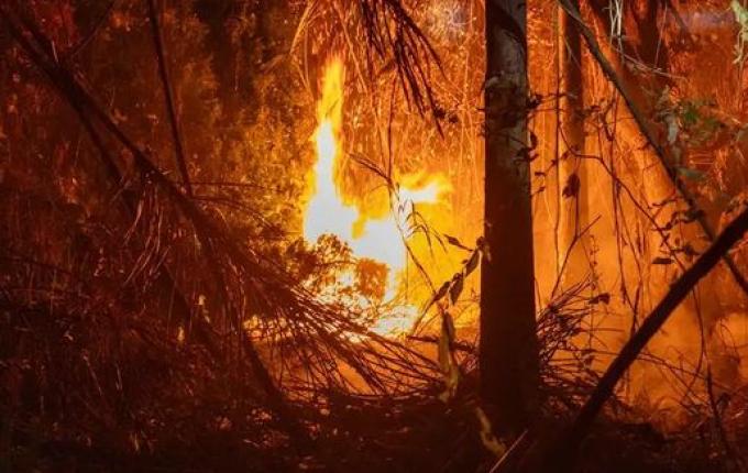 Brasil registra em 2024 aumento de 79% de áreas queimadas