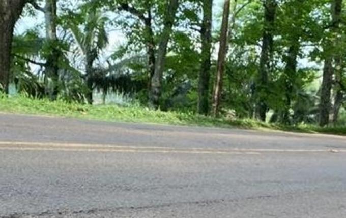 Homem é flagrado pegando carona em cima de container