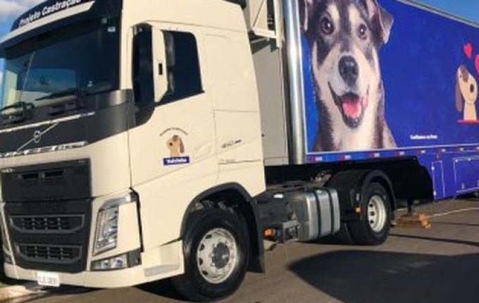 Mutirão de castração de animais será realizado em São João do Oeste