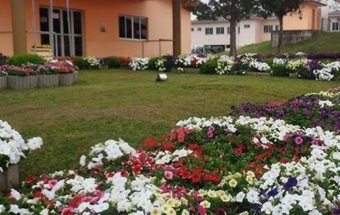 Governo de Bandeirante quer arrecadar quase R$ 400 mil com leilão