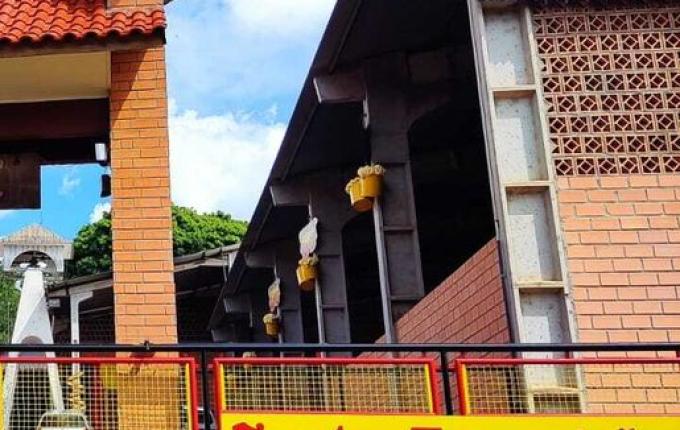 29ª Oktoberfest de Santa Terezinha acontece neste sábado em Cedro