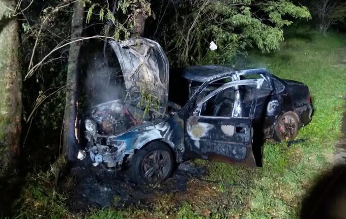 Motorista perde controle da direção, bate contra árvore e carro pega fogo na SC-157