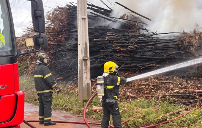Incêndio atinge pilha de eucaliptos em madeireira de São Miguel do Oeste
