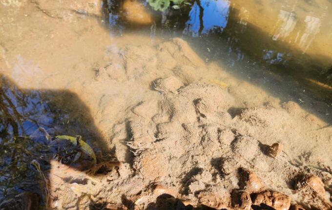 Polícia Militar Ambiental identifica origem de poluição em riacho de Itapiranga