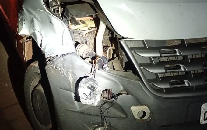Motorista atropela bovino na SC-159, no acesso a São Bernardino