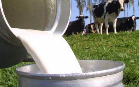 Melhora do preço acende alerta para risco de importações, diz Epagri