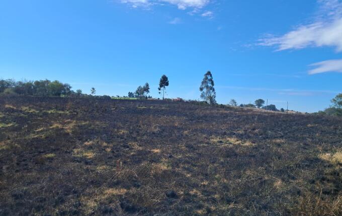 Bombeiros combatem incêndio em vegetação no interior de Campo Erê