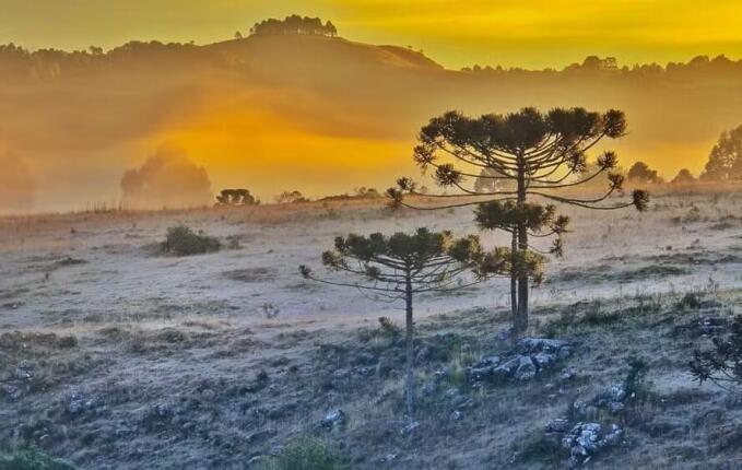 Frio volta a ganhar força em Santa Catarina e temperaturas podem chegar a 0°C
