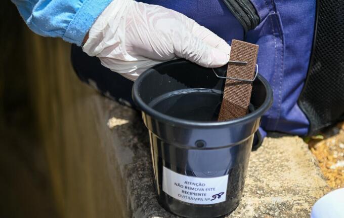 São Miguel do Oeste tem 163 armadilhas contra o Aedes aegypti