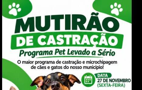 Barra Bonita terá mutirão para castração de 112 cães e gatos em novembro
