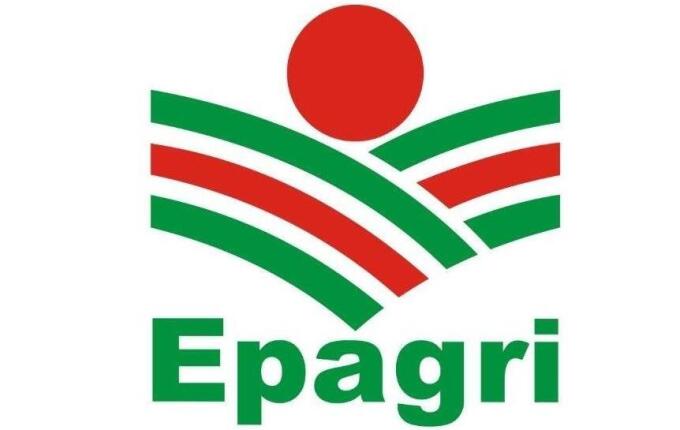 Epagri constata avanço na eficiência produtiva do agro em Itapiranga