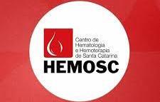 Associação de Doadores de Sangue de Anchieta mantém viagens mensais ao Hemosc