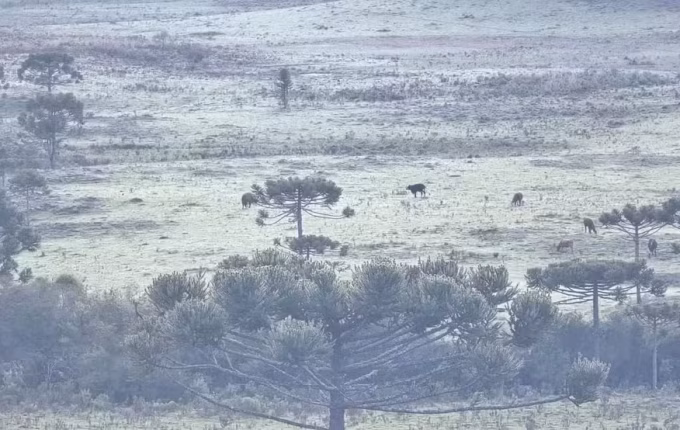 Serra catarinense registra temperatura de -2°C e geada em plena primavera