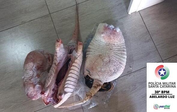 PM encontra três animais silvestres abatidos e congelados em Abelardo Luz
