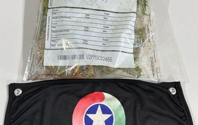 Briga de casal termina com apreensão de pés de maconha em SJCedro