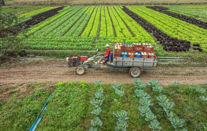 SC amplia para R$ 2,5 milhões limite mensal de créditos de ICMS para produtores rurais