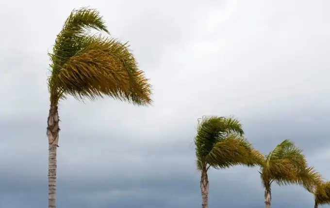 Frente fria provoca temporais e rajadas de até 100 km/h em Santa Catarina