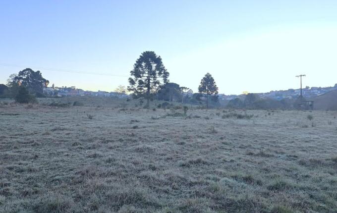 Defesa Civil alerta para geada e temperaturas negativas em Santa Catarina
